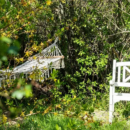 Tatil Evi Nostalgia In Thatched House In Odsherred Nykøbing Sjælland